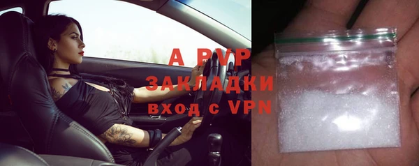 PSILOCYBIN Богородицк
