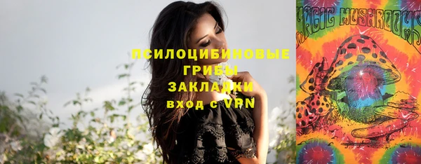 прущий лед Богородск