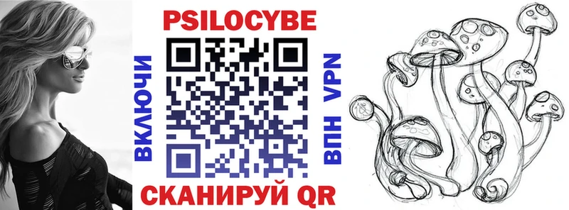Псилоцибиновые грибы Psilocybe Кувандык