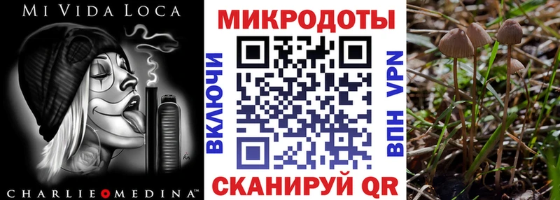 ОМГ ОМГ   Кувандык  Галлюциногенные грибы GOLDEN TEACHER  где найти наркотики 